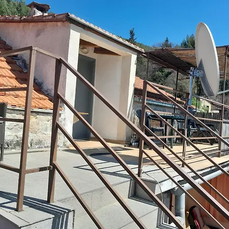 Darinka Skradin